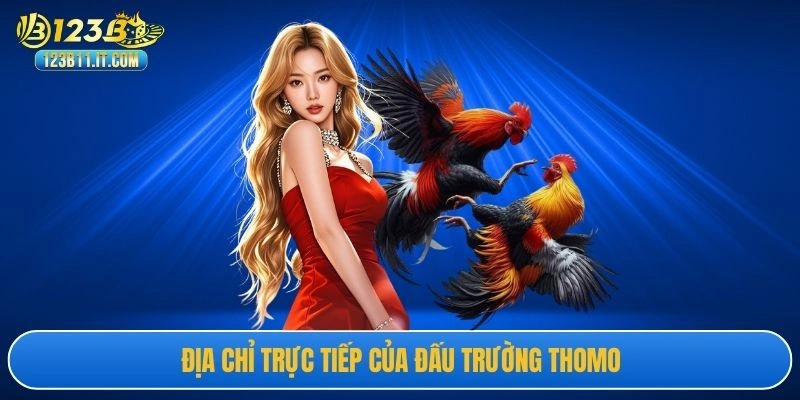 Địa chỉ trực tiếp của đấu trường Thomo